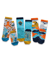 Load image into Gallery viewer, 3pk Kids Cotton Ocean Ankle Socks

