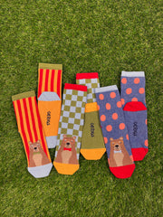 3pk Kids Cotton Bear Ankle Socks